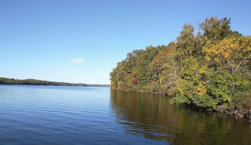 Maple Ridge Resort (Rose-Art Lodge) - From Website (newer photo)